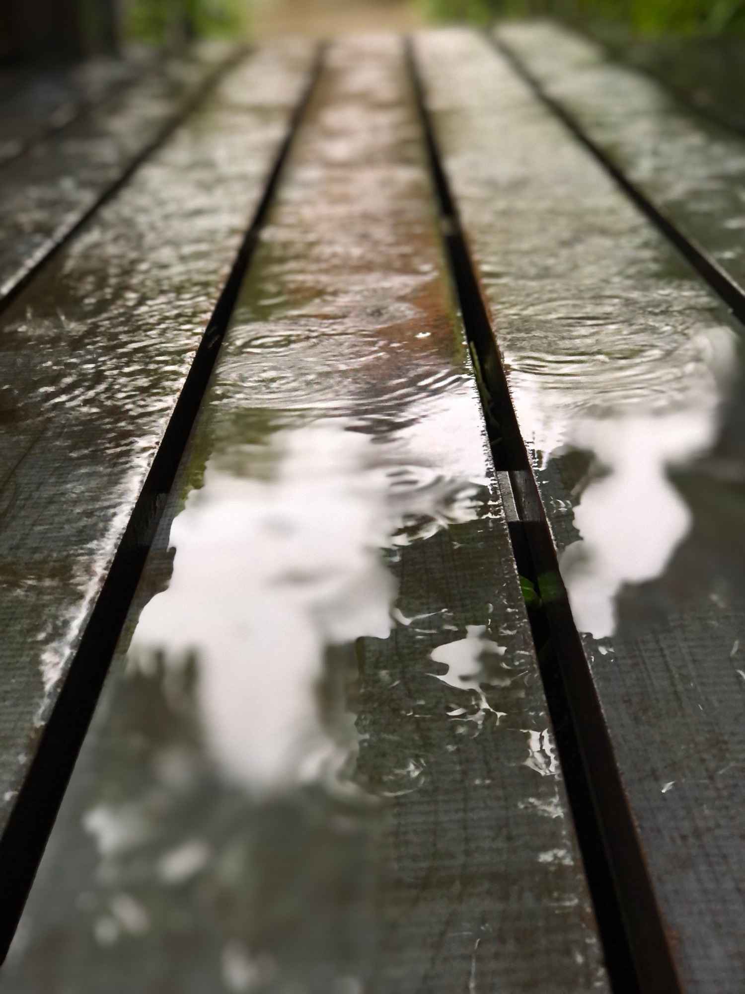 大雨で…。 Image