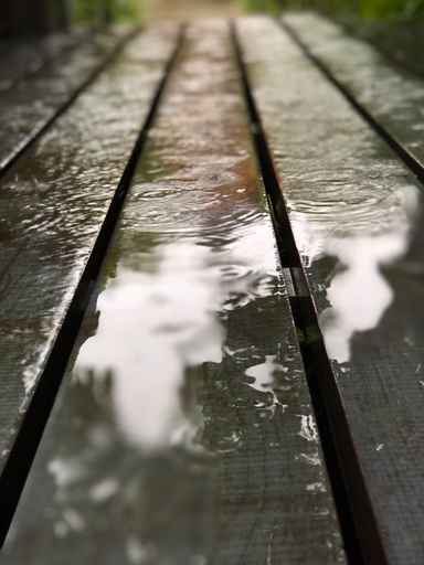 大雨で…。 Image
