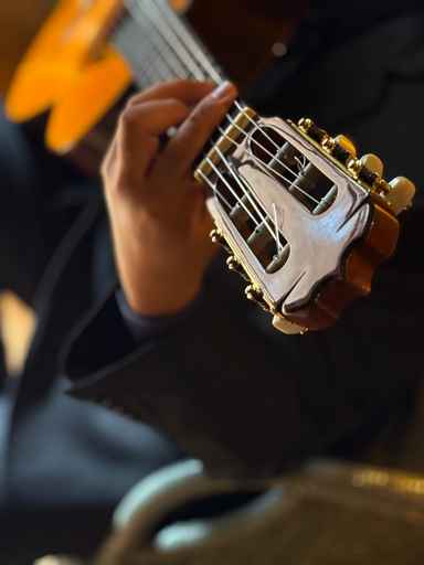 フラメンコギタリスト。 Image