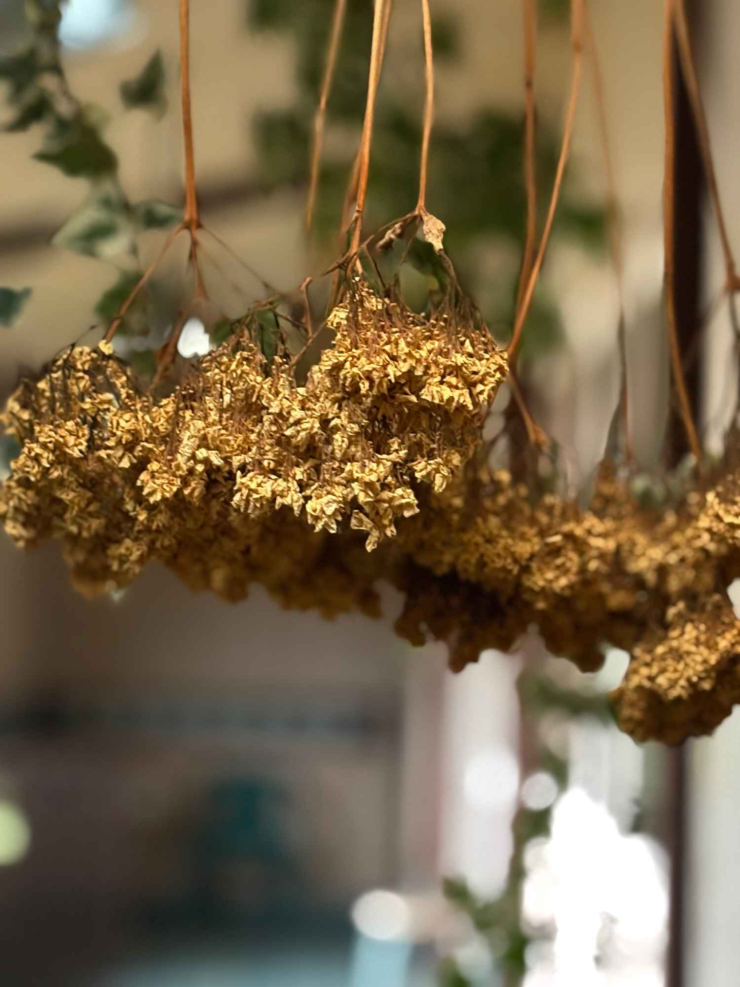 10.31セミナー。 Image