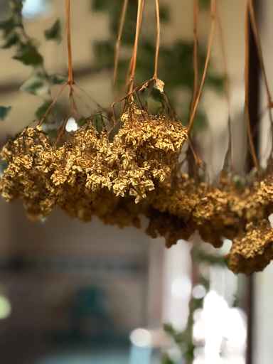 10.31セミナー。 Image